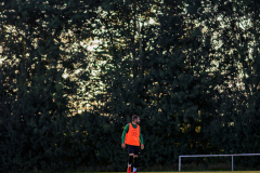 20220714201000_IMG_8026